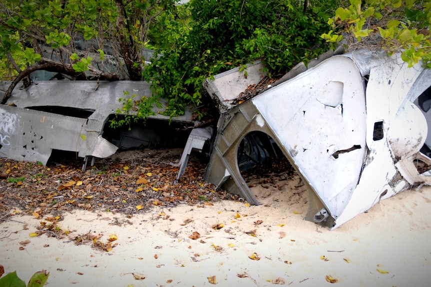 A grey plane wreck on a beach with green trees growing out of them. 