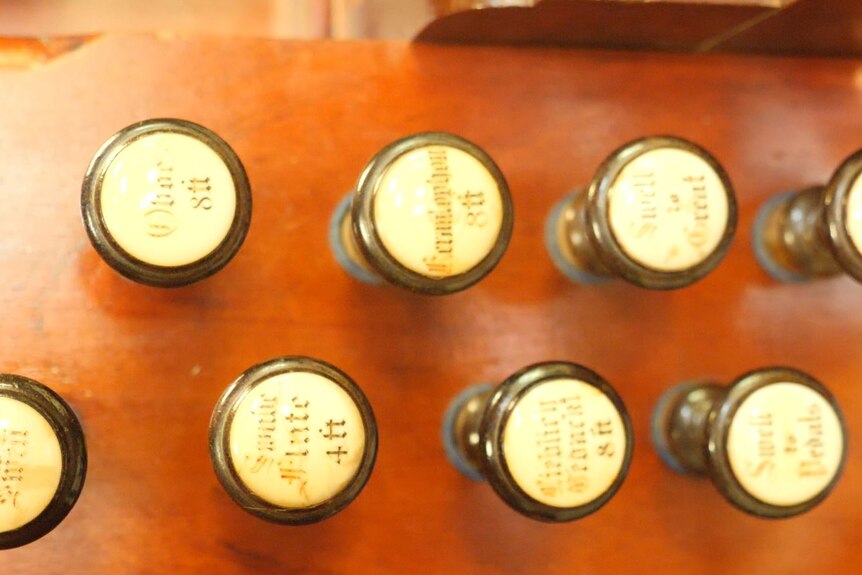 Small white knobs stick out of a wood panel with historic lettering on them