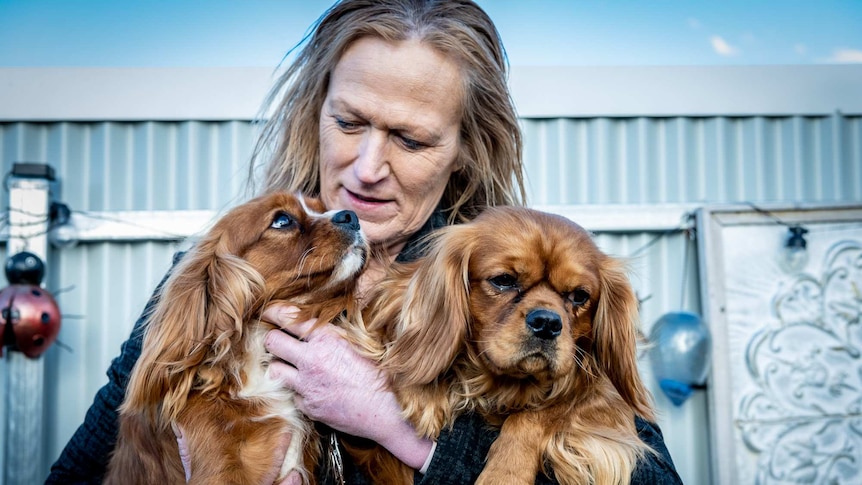 Donna cuddles two Cavalier King Charles dogs.