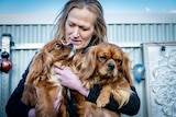 Donna cuddles two Cavalier King Charles dogs.