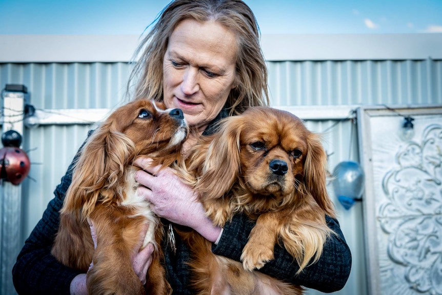 Donna cuddles two Cavalier King Charles dogs.