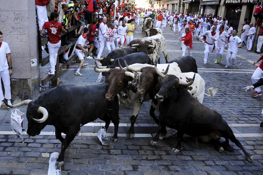 Animal rights groups protest against 'cruel, violent and bloody' running of  the bulls - ABC News