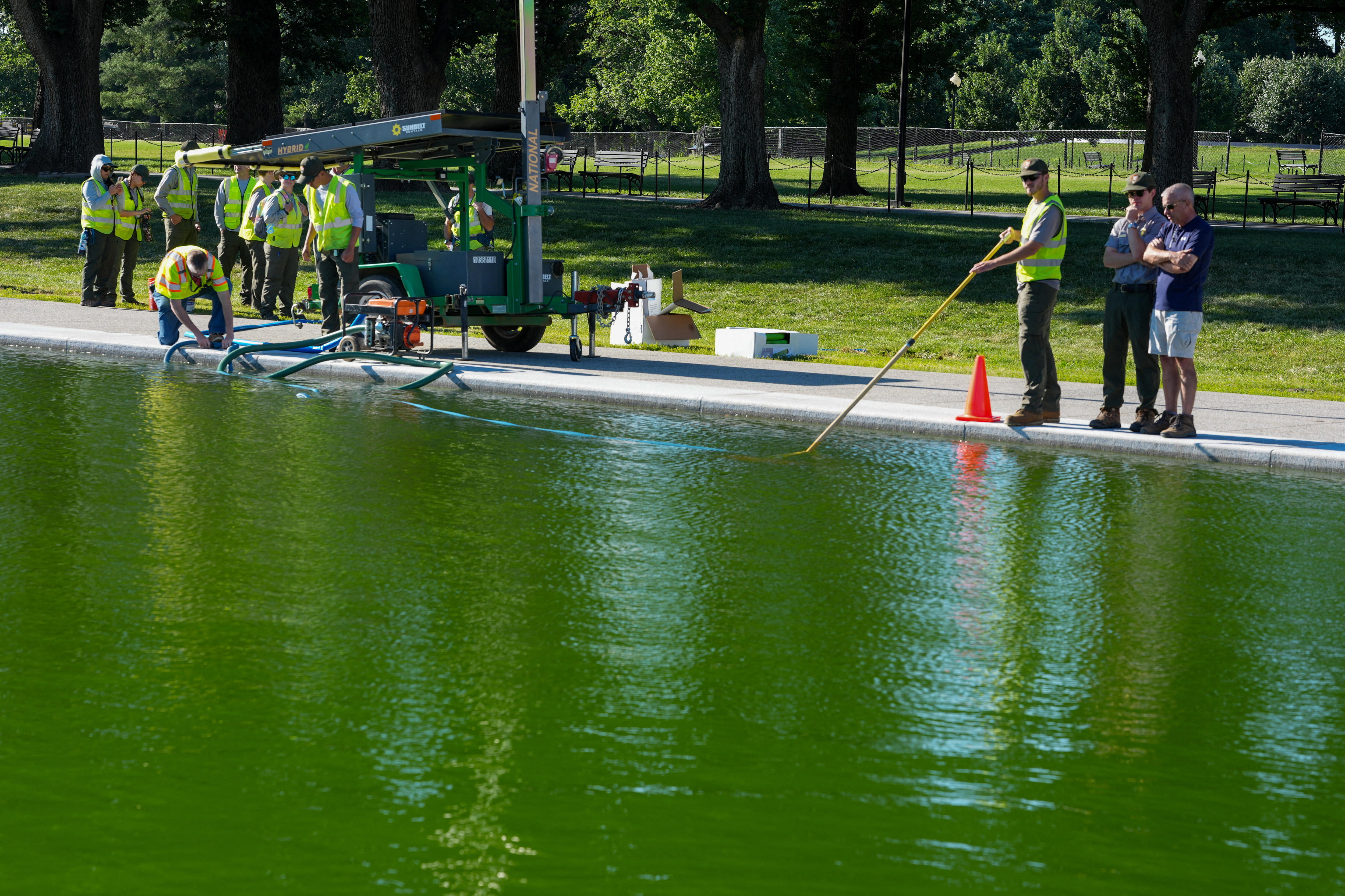 A group of workers set up pool vacuums in the Reflecting Pool's green water.
