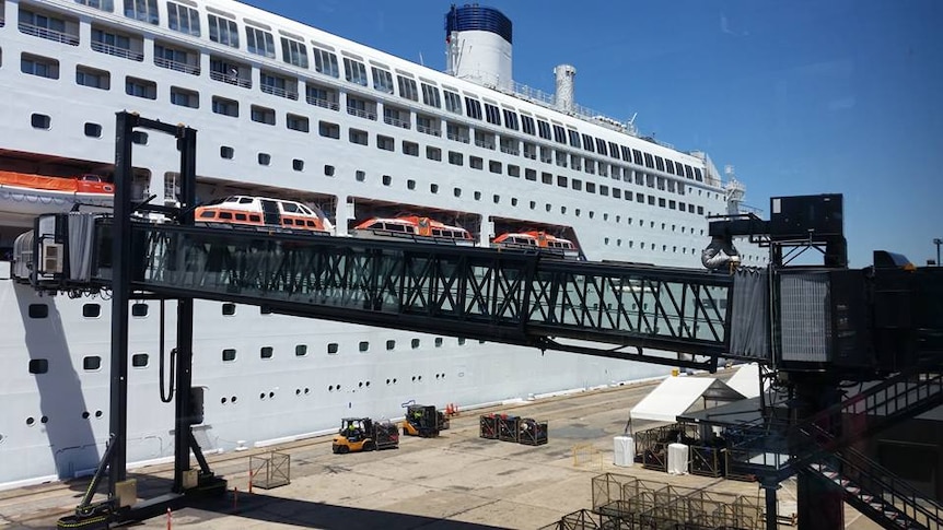 A cruise liner docked at the White Bay terminal at Balmain in Sydney