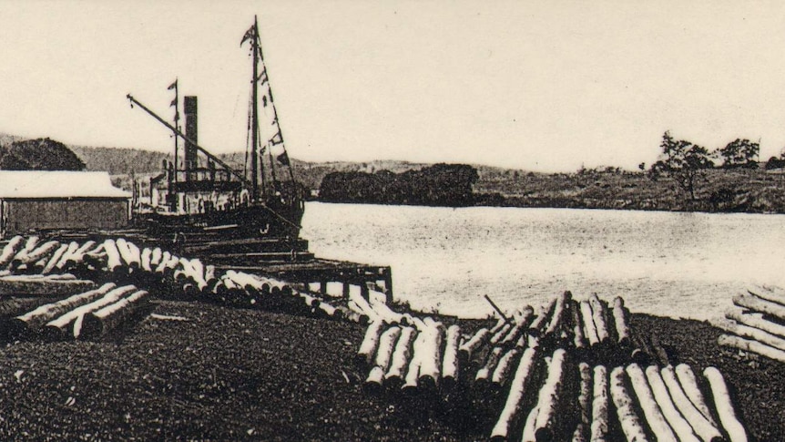 Logs awaiting transportation at the Wingham Wharf in 1925, with a ship in the background.