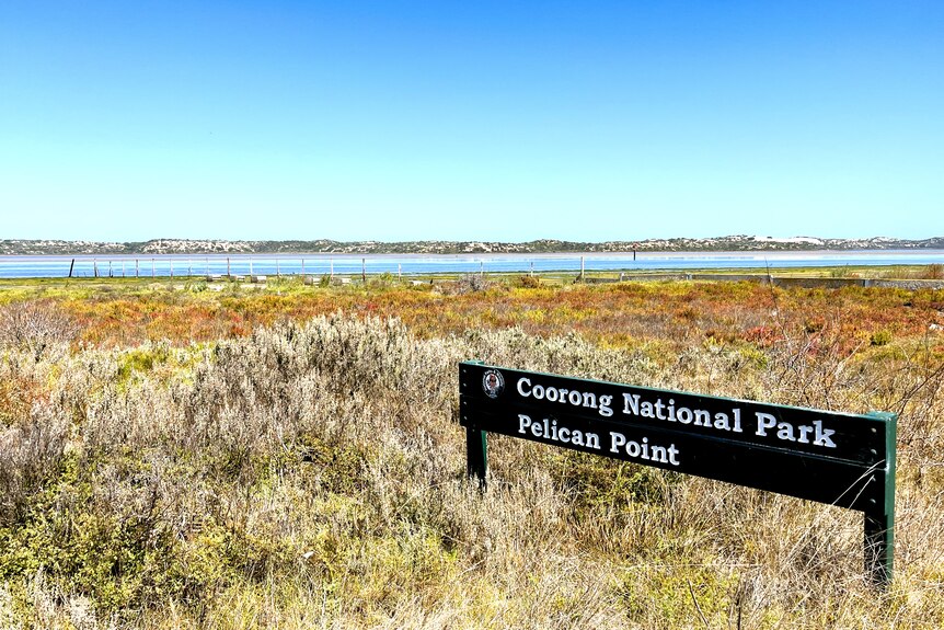 A sign that says Pelican Point Coorong National Park set among scrub with sandhills and water behind