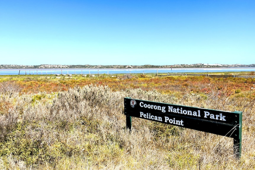 A sign that says Pelican Point Coorong National Park set among scrub with sandhills and water behind