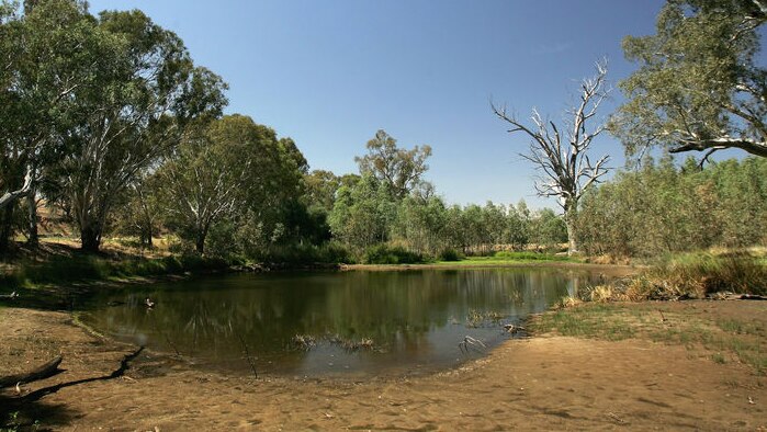 A view of the Wonga Wetlands in the Murray-Darling Basin. (File photo) (Getty Images: Robert Cianflone)