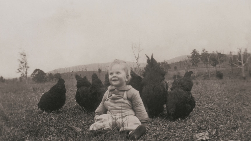 Les Murray with chickens