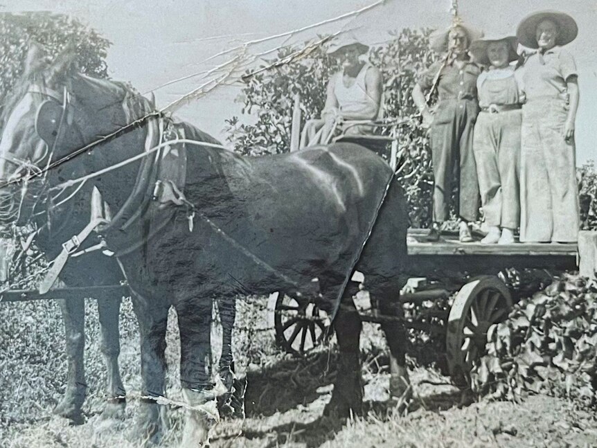 Black and white photo of a group of people standing on a flatbed tray pulled by two horses. 