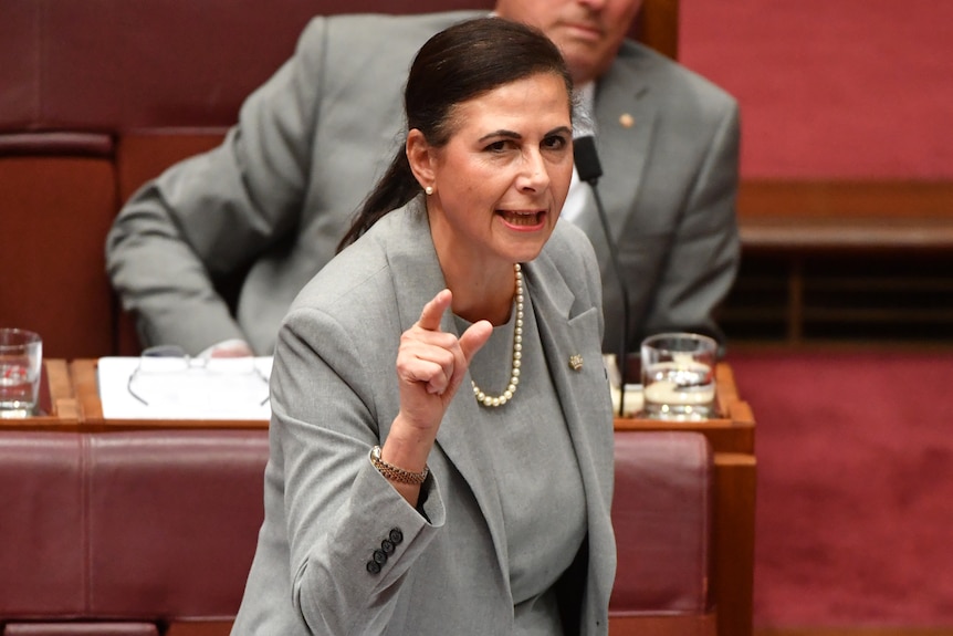 Concetta points as she speaks in parliament.