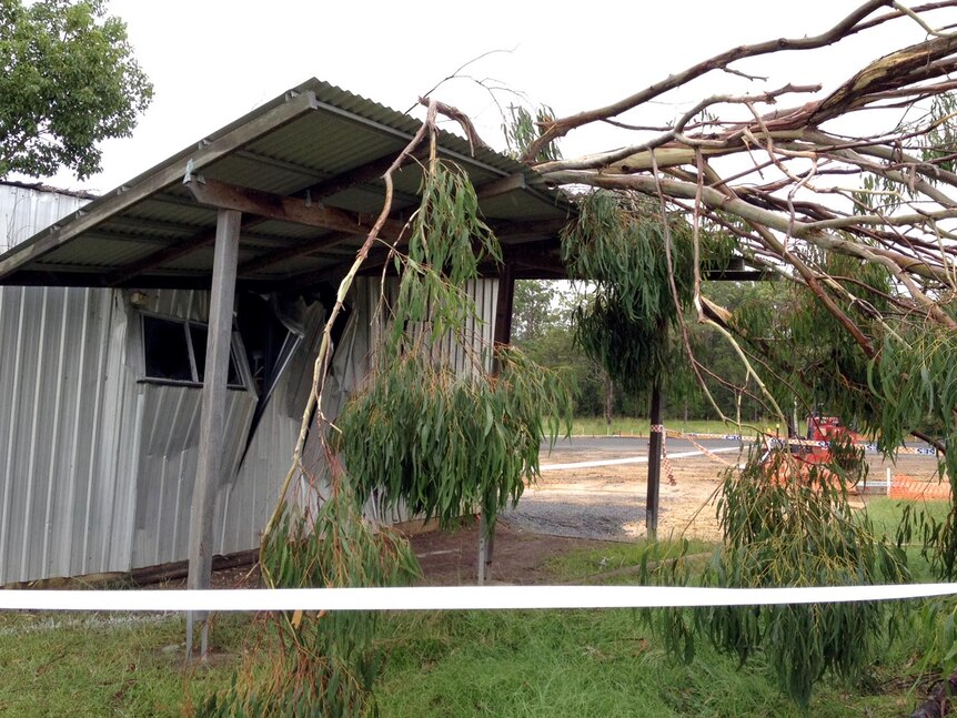 A tree lies across a building at the Cooroy sports ground on February 22.