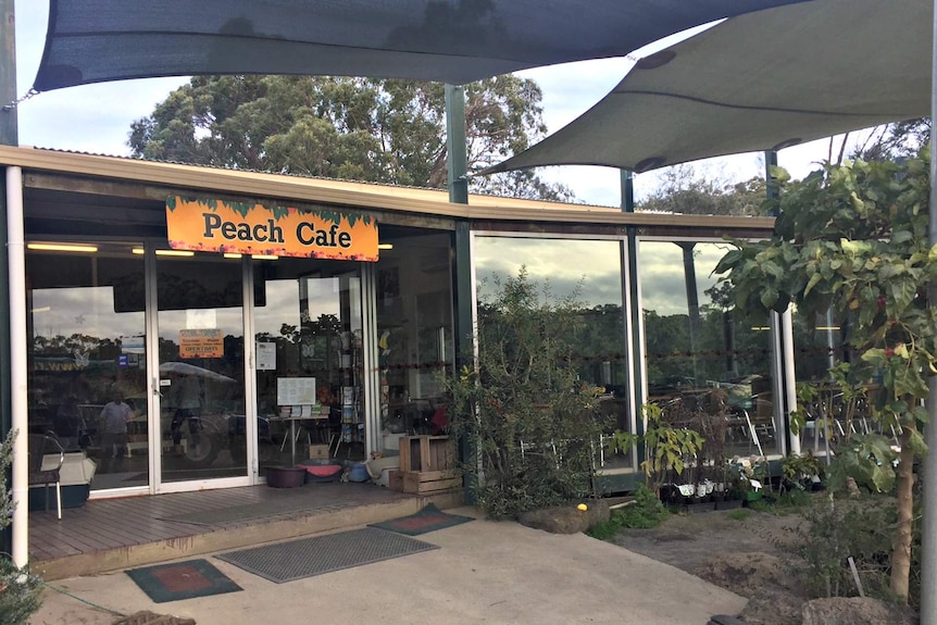 A cafe on Len Rayner's Yarra Valley farm