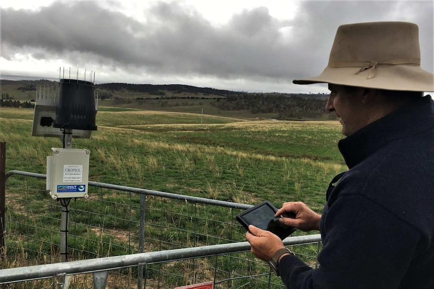Farmer looks at soil moisture probe