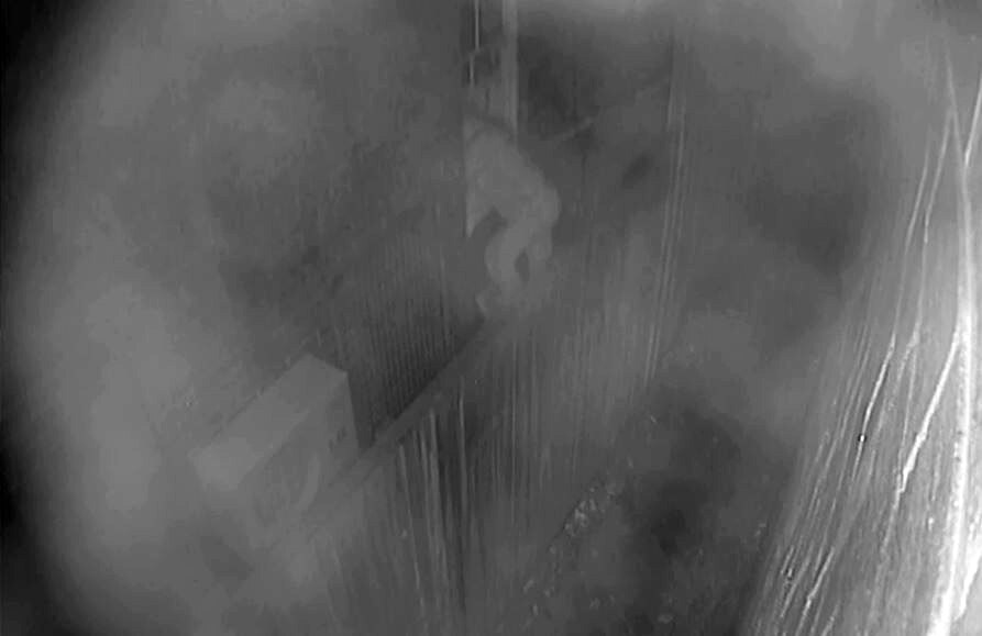 CCTV captures intruder breaking into home