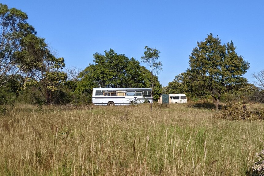 Image of a bus near the bush