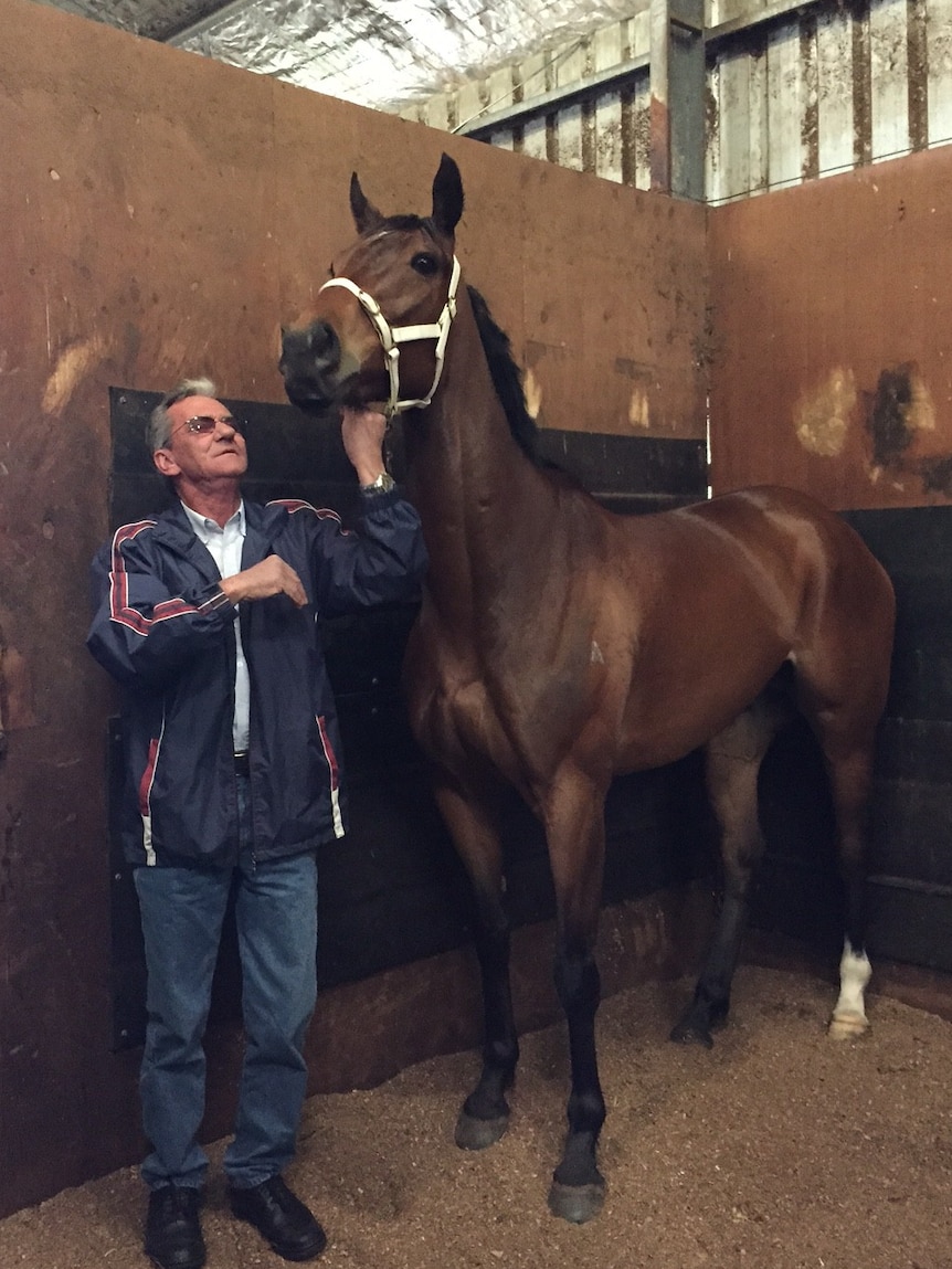 Gelding The Cleaner with trainer Mick Burles