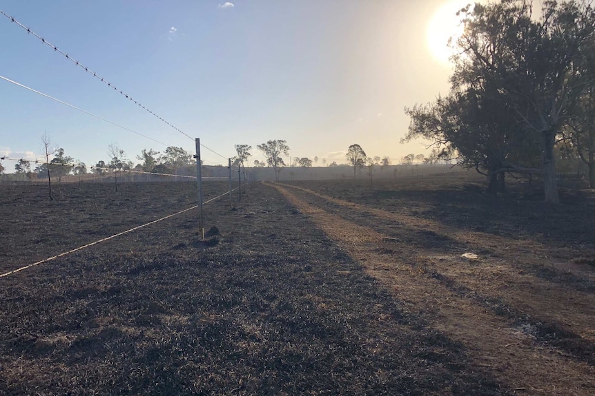 A blackened paddock with stubble and a barbed wire fence.