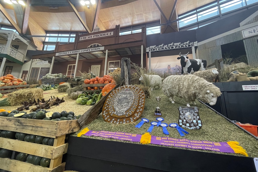 A farm food exhibit featuring sheep, vegetables and trophies.