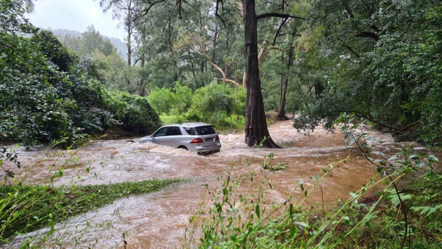 Evacuation orders issued, homes isolated in Sydney as torrential rain causes flash flooding