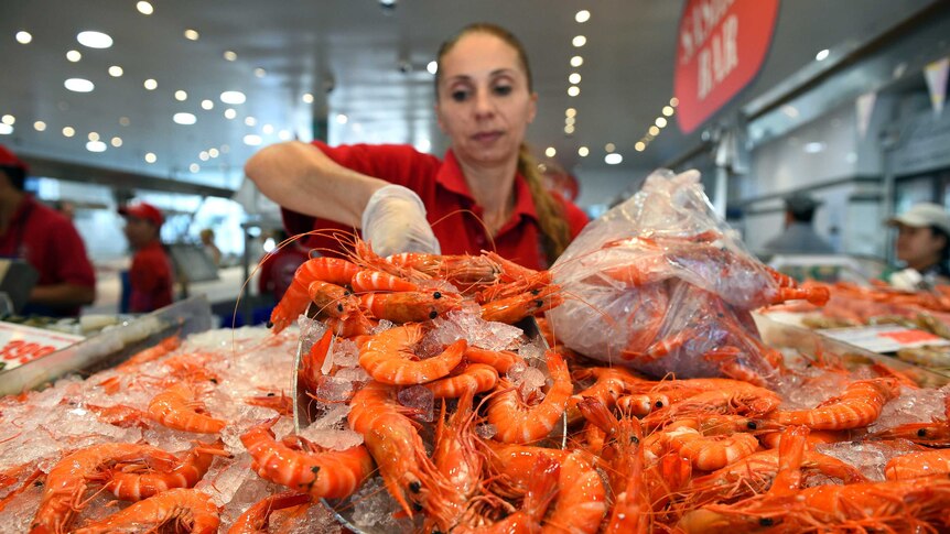 A woman puts her scoop into a large pile of prawns.