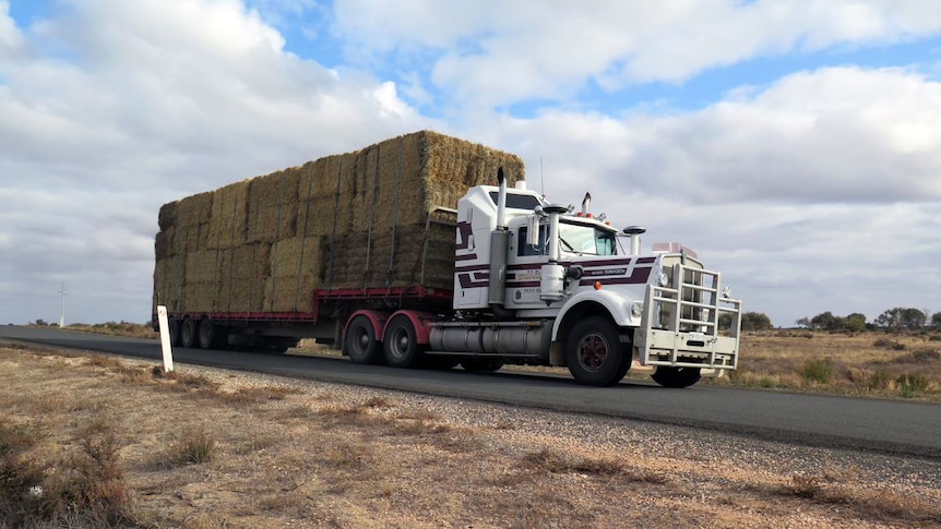 Dennis Walker's hay truck on the road