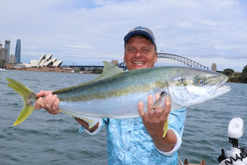 A man holding a large kingfish in a harbour.