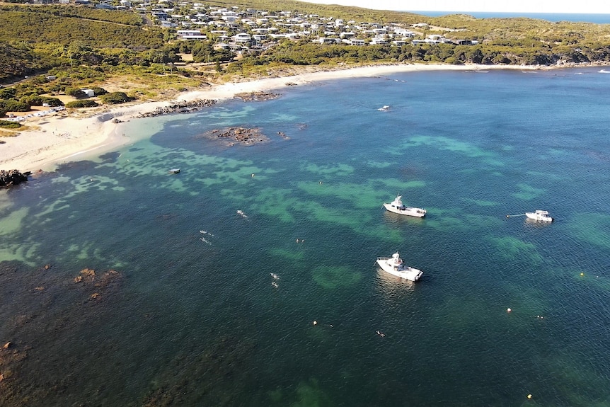 People swimming in a bay.