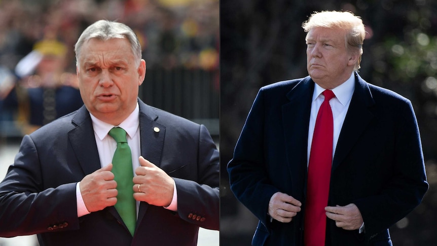 Hungarian leader Viktor Orban and US President Donald Trump.