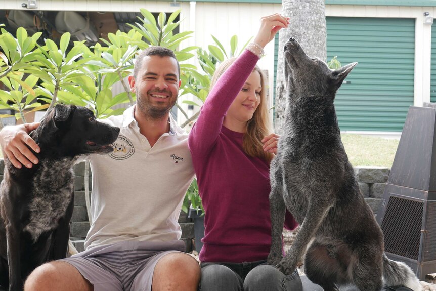 Reiner Adolfsen and Katharina von Huesinger with their two dogs Jet and Winston.