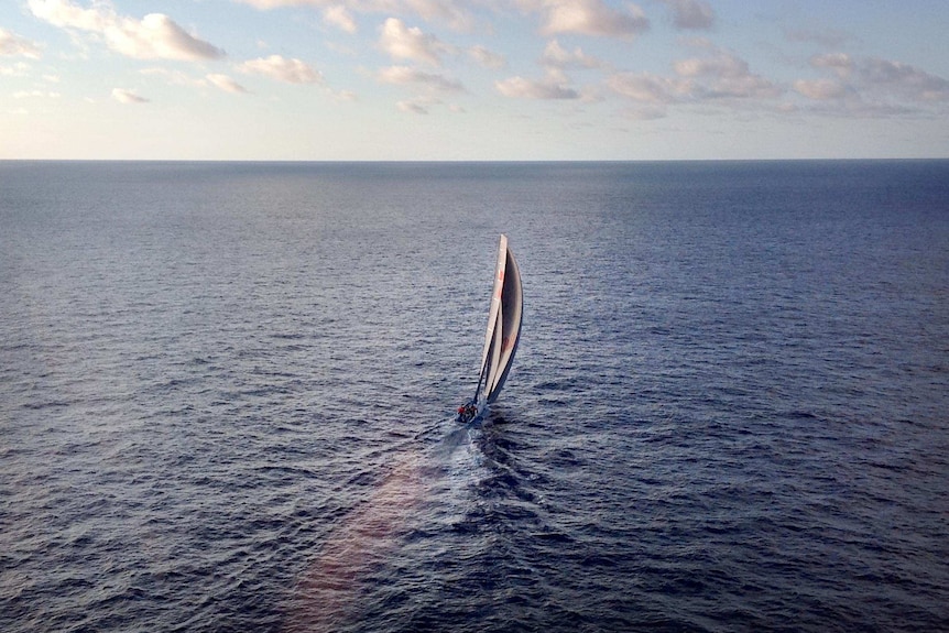 Wild Oats XI races down the coast of south east Australia.