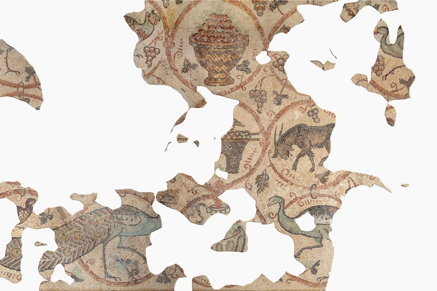 Shards of an ancient mosaic featuring an animal, birds and grapes