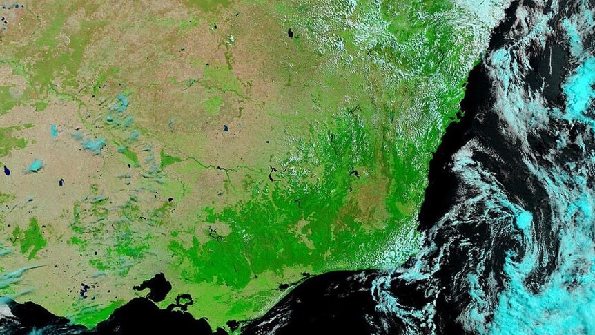 Satellite image of floods (dark green) affecting south-east Australia.