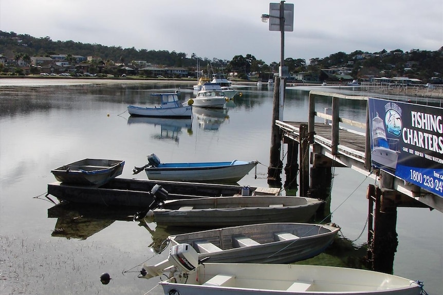 merimbula lake with boats tied to jetty