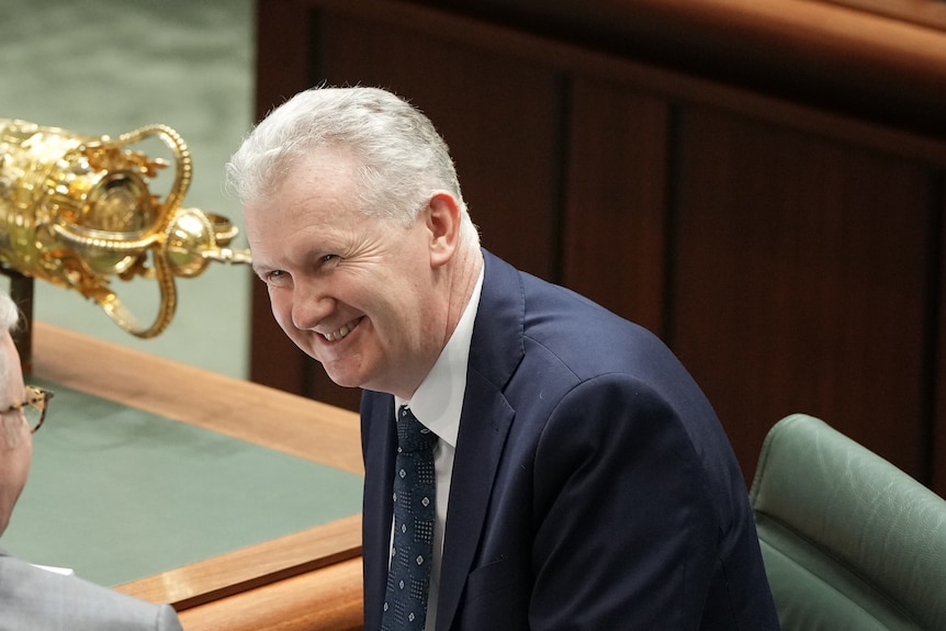 Tony Burke smiles at Anthony Albanese during QT