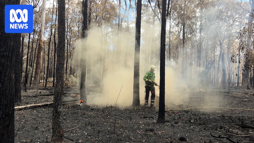 Shocking Job Cuts in Victoria: 350 Roles Axed in Environmental and Climate Action Overhaul