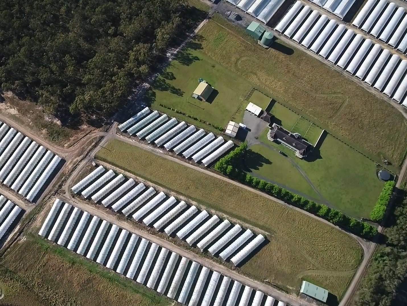 conditions, bullying and exploitation at major flower