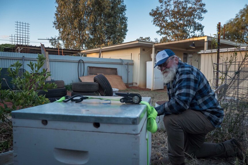 Mr Pawlaczyk with his 'foster' bee hive behind his house in Laverton, Western Australia.