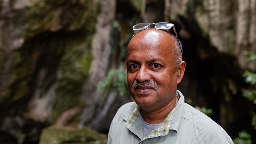 A man looks at the camera, with glasses resting on his head, caves and moss in background