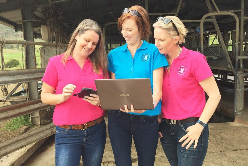 Rachel Rohan, Joanne Mollinger and Lisa Harrison monitor their Daughters of Dairy Farmers social media pages