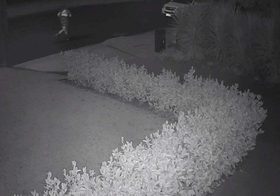 A black and white image of a hedge with a man running to a white SUV