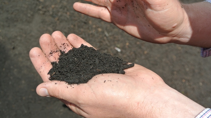 Organic waste is being turned into compost