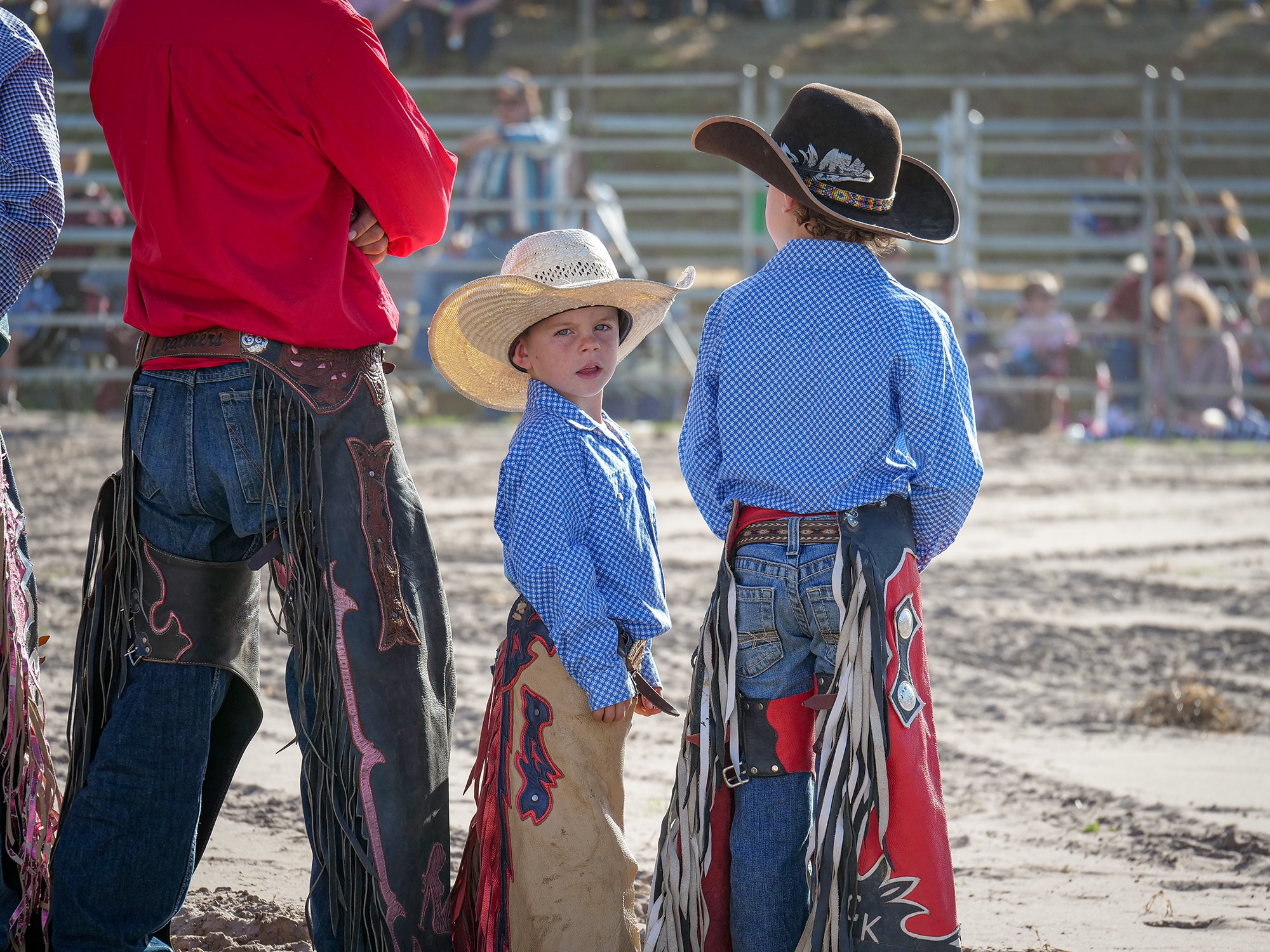 Young cowbook looking down the lens