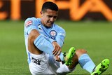 Tim Cahill holds his injured ankle