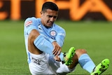 Tim Cahill holds his injured ankle