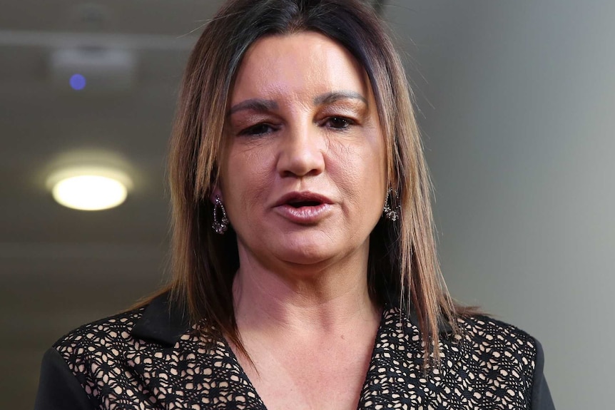 Jacqui Lambie stands at a press conference inside a corridor