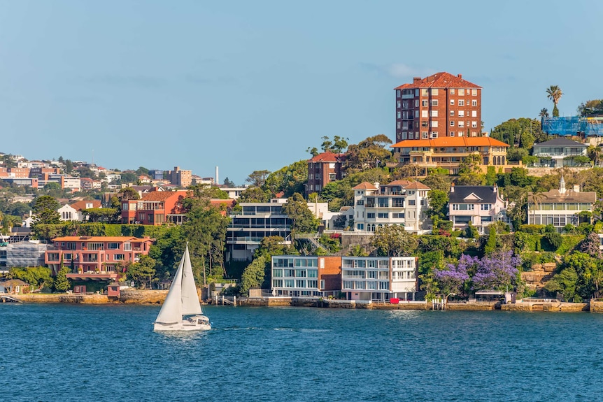 The blue water of Sydney harbour against a suburban backdrop