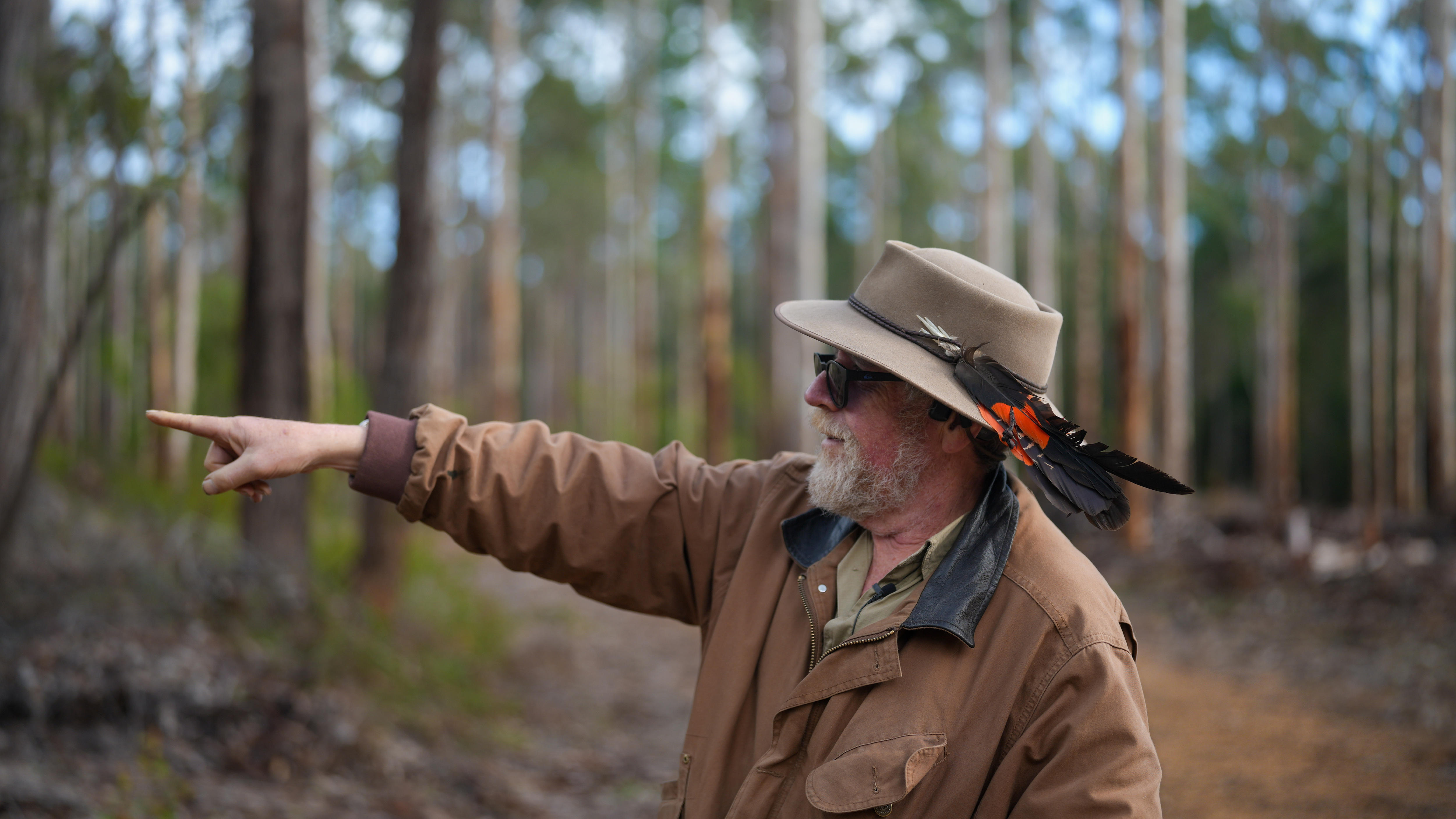 A man stands in a forest and points