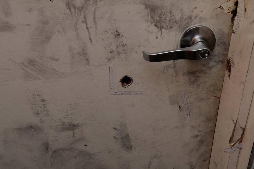The hole where the bullet entered can be seen, with a ruler measuring its size.