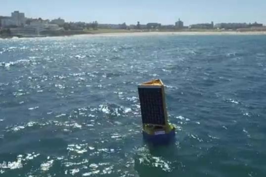 Clever Buoy floats off a NSW beach